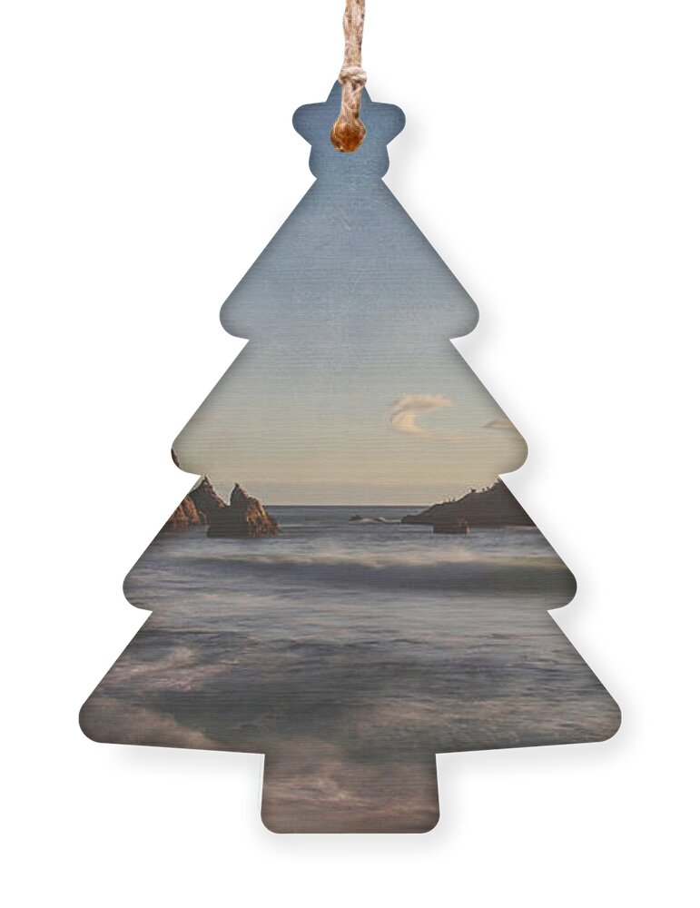 Martins Beach Ornament featuring the photograph Can't Take My Mind Off of You by Laurie Search