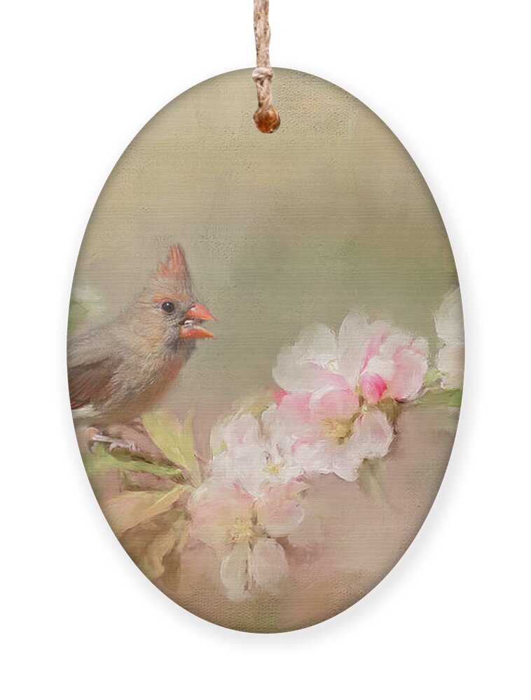Bird Ornament featuring the photograph Cardinal Delight by Pam Holdsworth