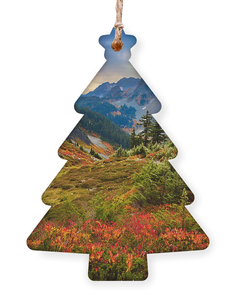 America Ornament featuring the photograph Cascade Pass Fall by Inge Johnsson