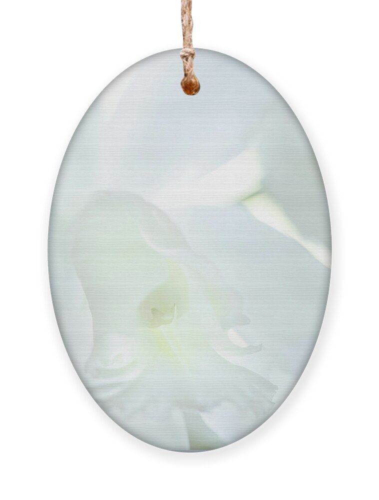 Blossom Ornament featuring the photograph Cattleya Orchid #1 by George Robinson