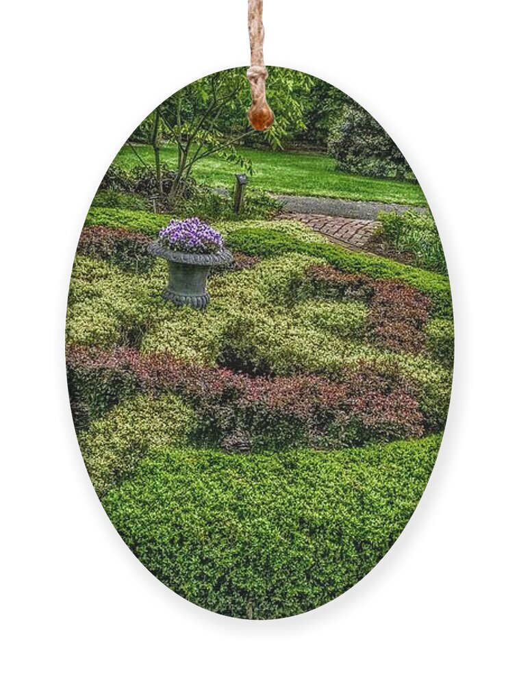 New Jersey Ornament featuring the photograph Celtic Topiary at Frelinghuysen Arboretum by Christopher Lotito