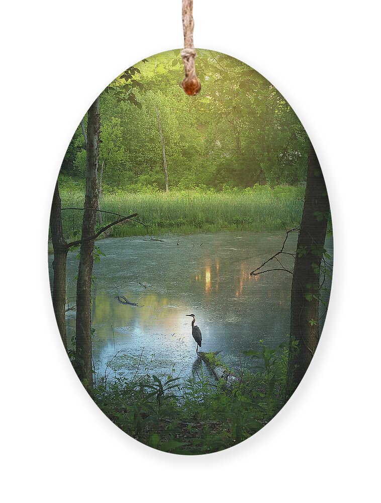 Blue Heron Ornament featuring the photograph Center Stage by Rob Blair