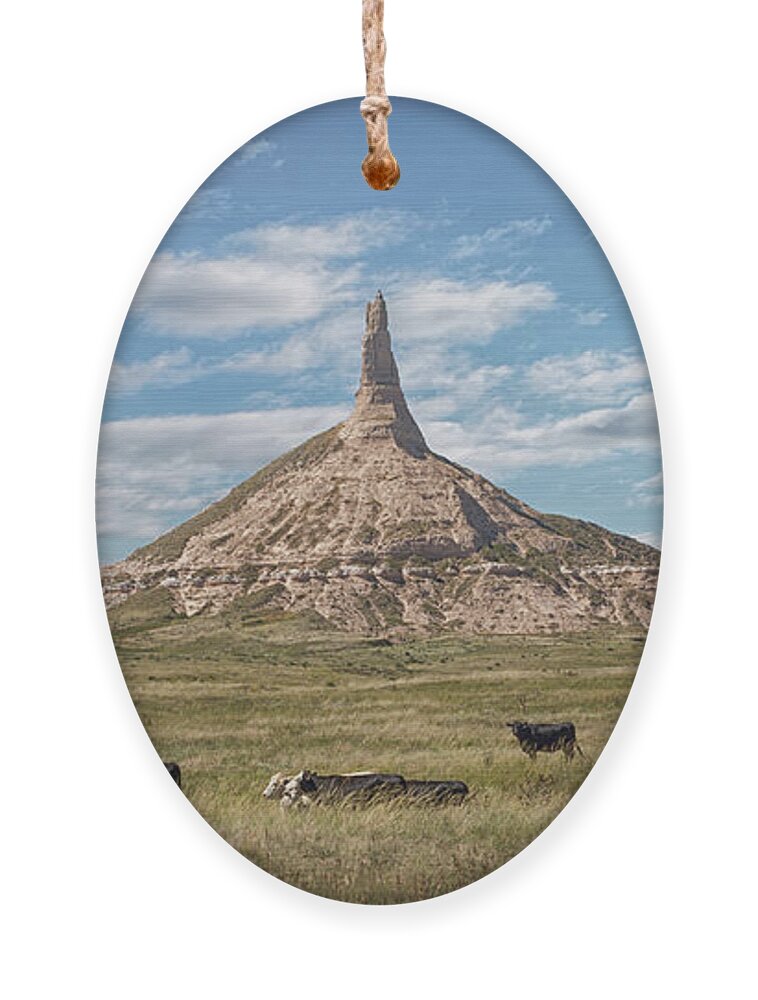 Chimney Rock Ornament featuring the photograph Chimney Rock by Susan Rissi Tregoning