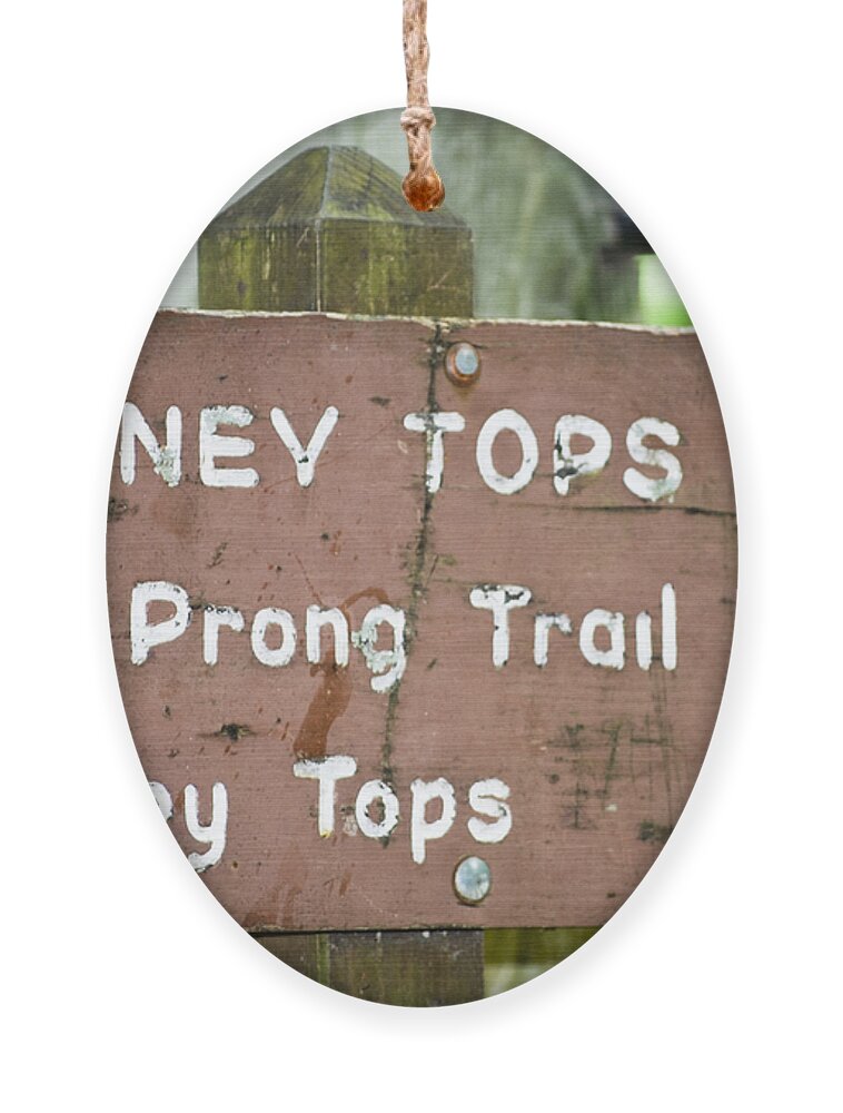Chimney Top Ornament featuring the photograph Chimney Tops Trail by Christi Kraft