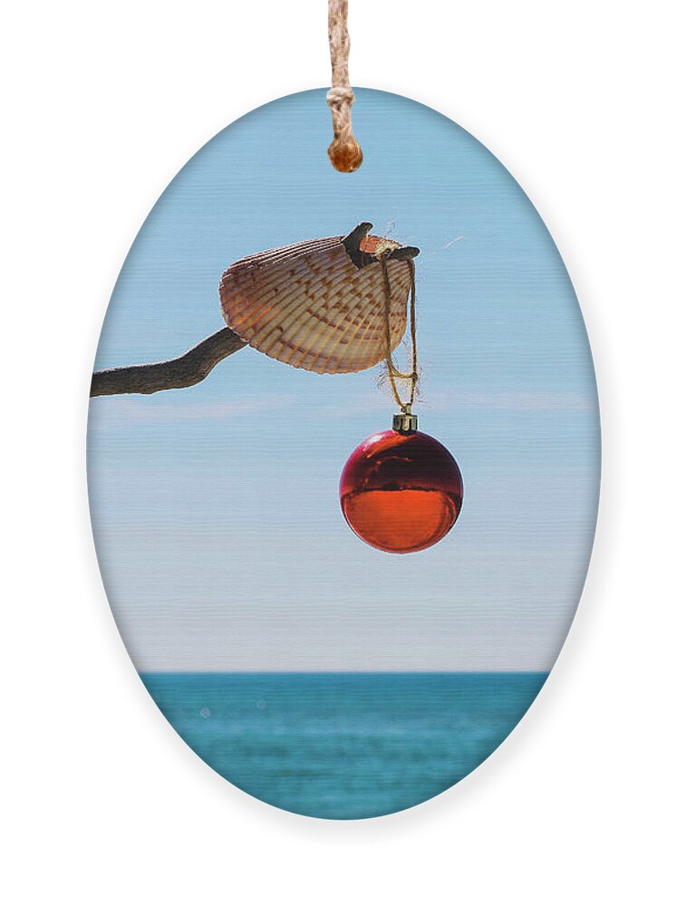  Ornament featuring the photograph Christmas Blues by Robert Wilder Jr