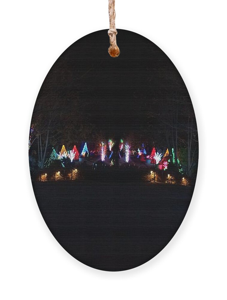  Ornament featuring the photograph Christmas Garden 6 by Rodney Lee Williams