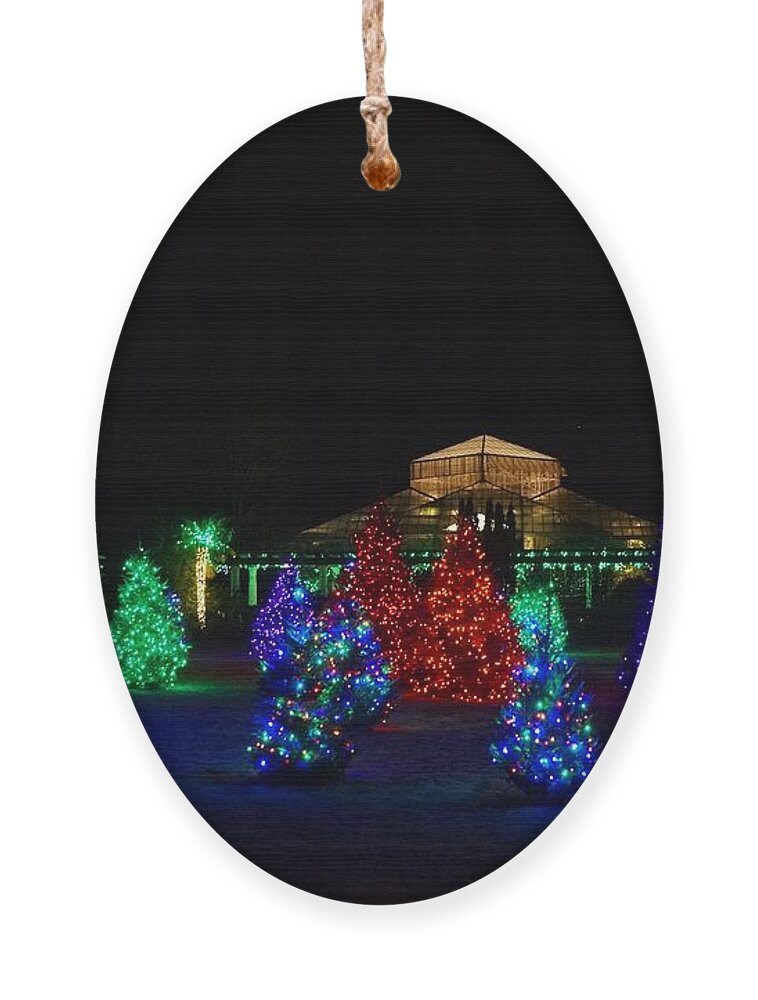  Ornament featuring the photograph Christmas Garden 7 by Rodney Lee Williams