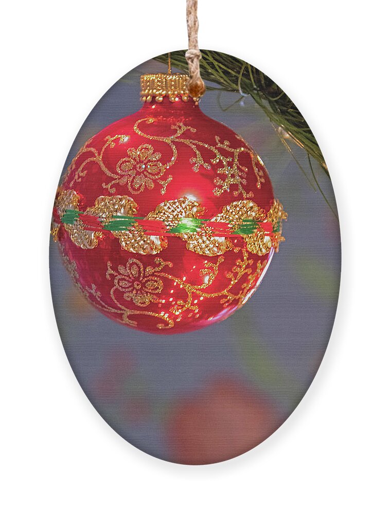 Christmas Ornament featuring the photograph Christmas Ornament by Ira Marcus