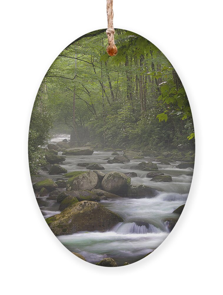 Nunweiler Ornament featuring the photograph Big Creek Trail by Nunweiler Photography