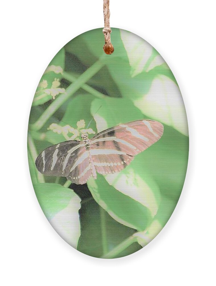 Cleveland Ohio Butterfly Ornament featuring the photograph Cleveland Butterflies4 by Merle Grenz