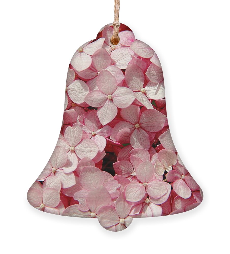 Pink Hydrangea Ornament featuring the photograph Closeup of Pink Hydrangea by Allen Nice-Webb