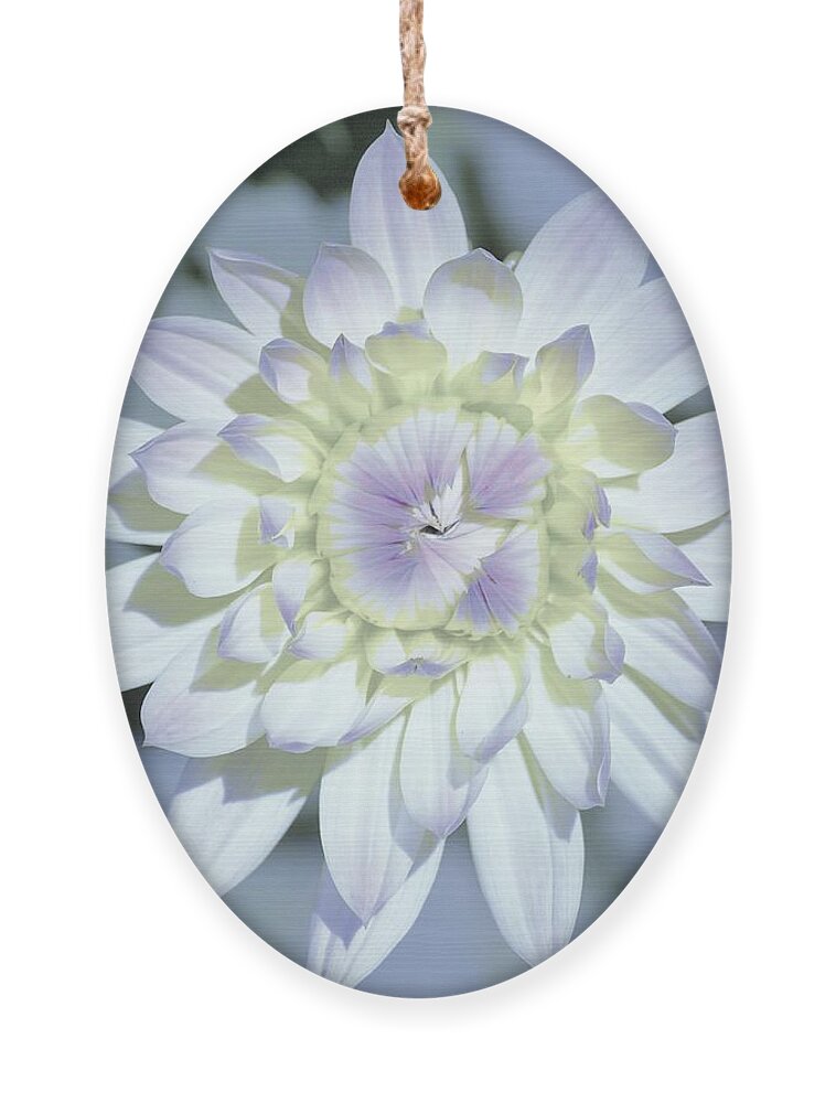 Flowers Ornament featuring the photograph Color Me by Merle Grenz