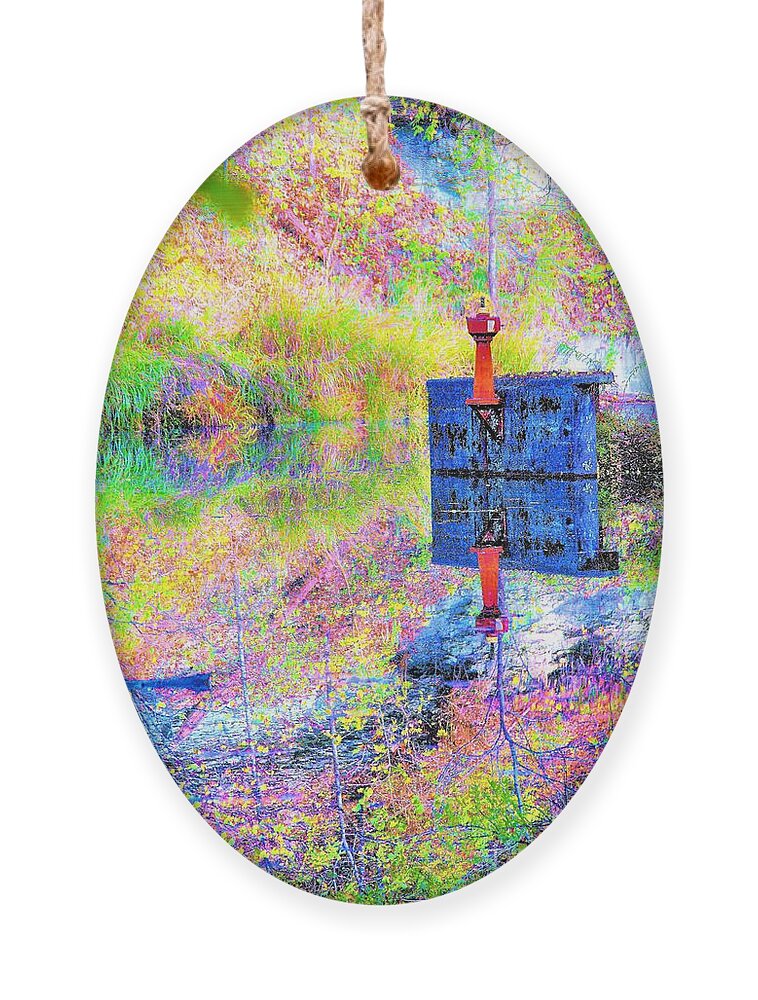 Kentucky Ornament featuring the photograph Colorful Reflections by Merle Grenz