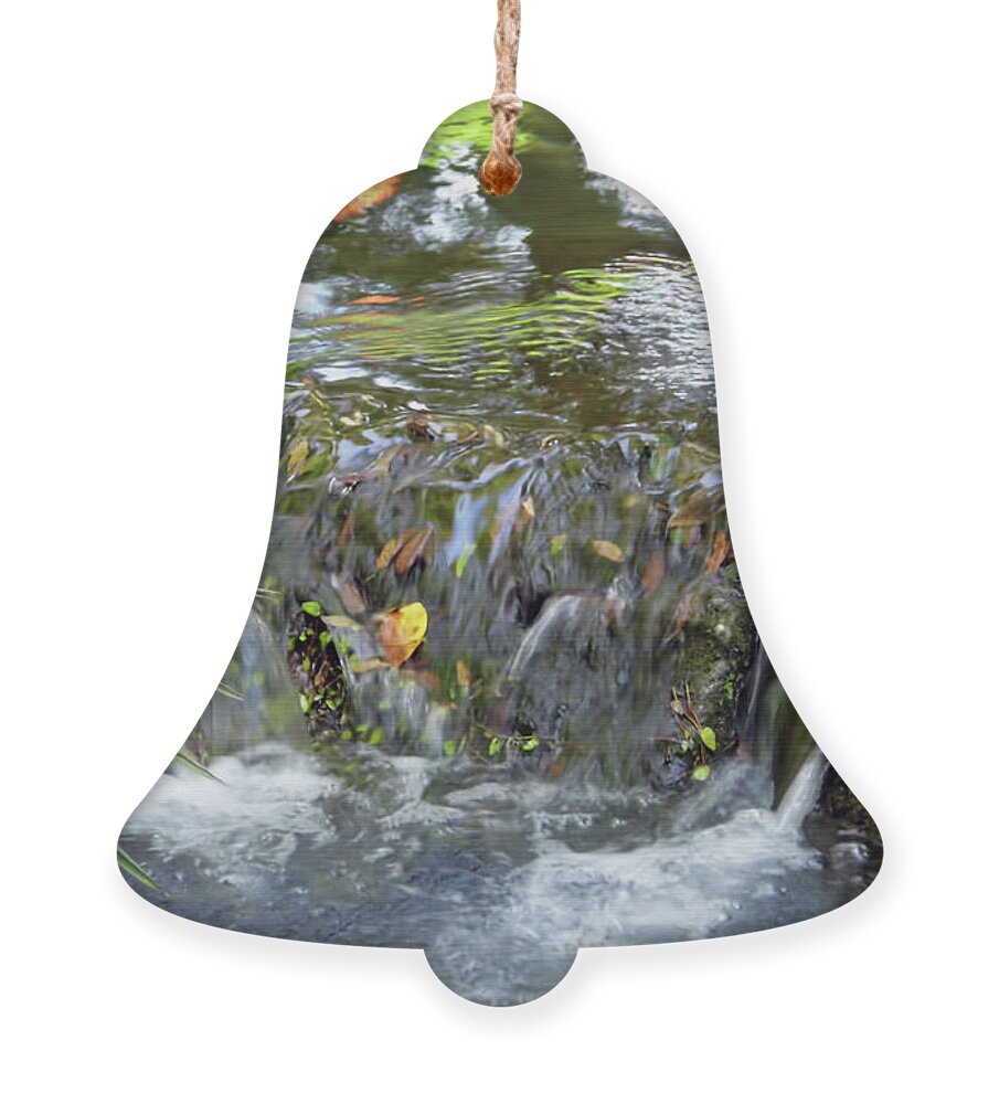 Rainbow Springs Ornament featuring the photograph Colors Of The Falls by D Hackett