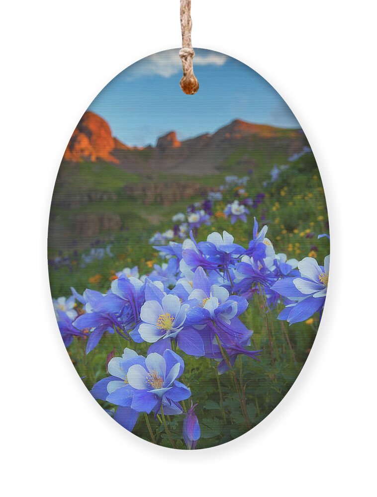 Colorado Ornament featuring the photograph Columbine Sunrise by Darren White