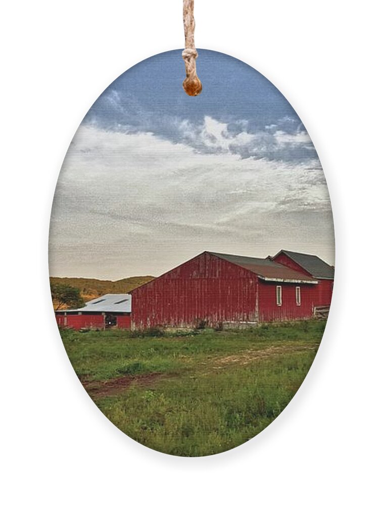 This Farm Is Located In Rural Warren Ornament featuring the photograph Connecticut Country by Dani McEvoy