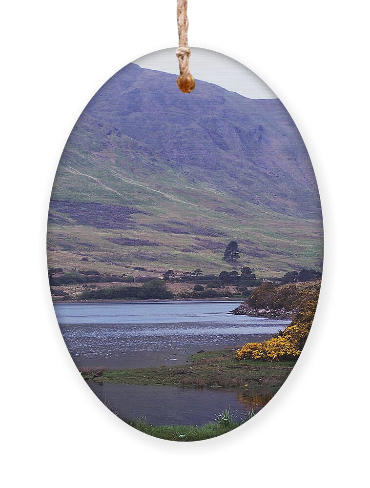 Landscape Ornament featuring the photograph Connemara Leenane Ireland by Teresa Mucha