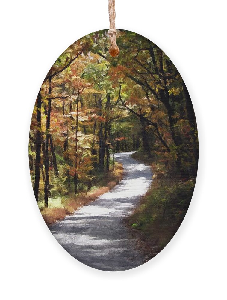 Country Ornament featuring the photograph Country Road by David Dehner