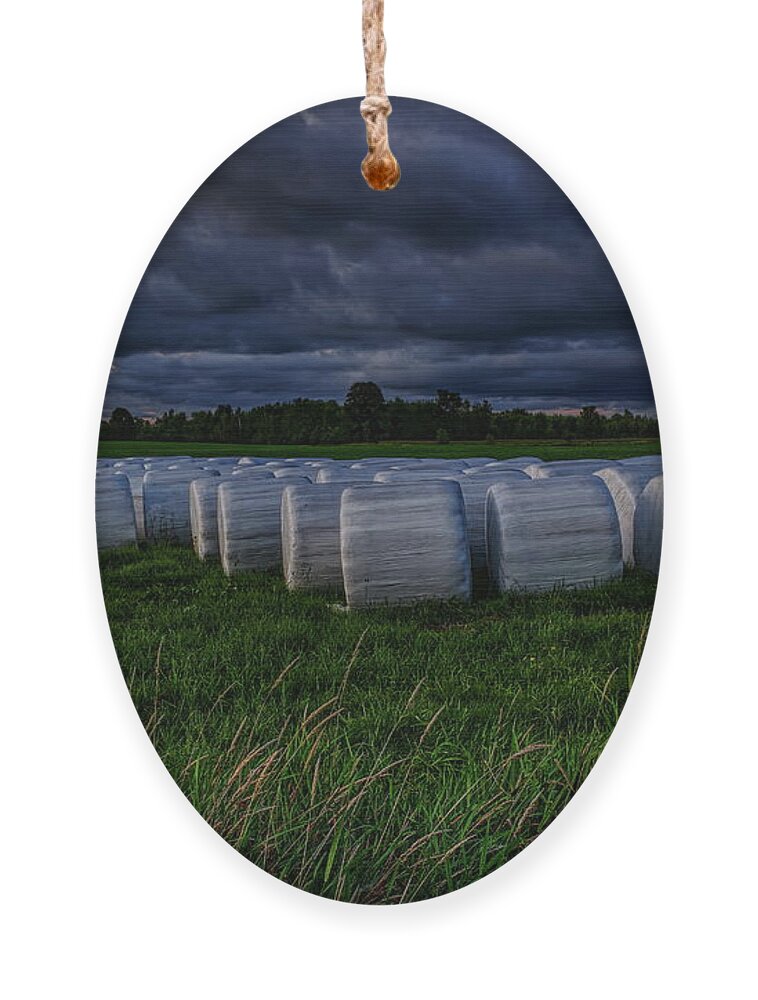Farmer Ornament featuring the photograph Covered Hay Bales by Dale Kauzlaric