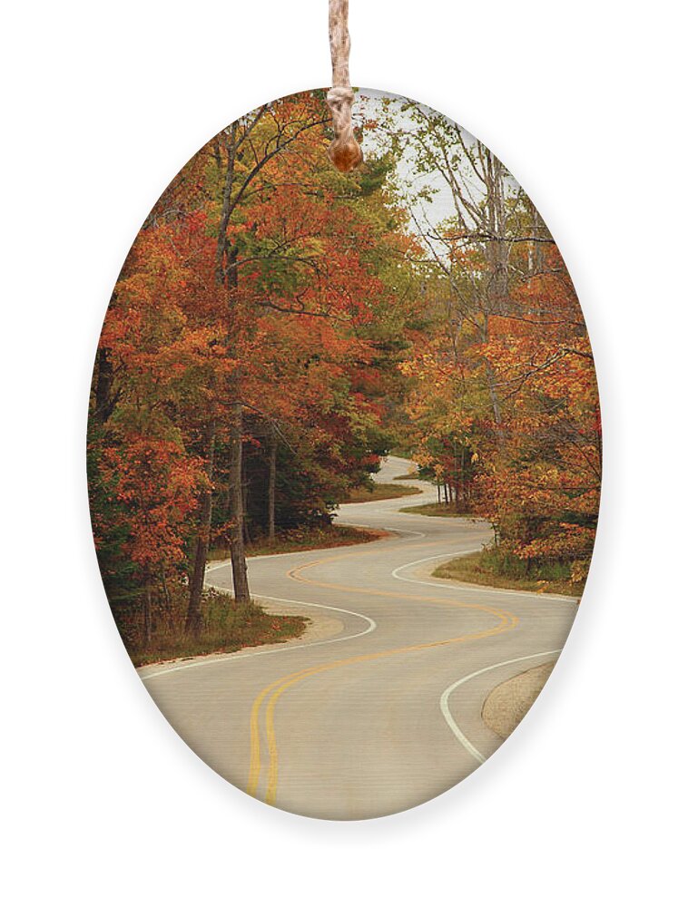 3scape Ornament featuring the photograph Curvy Fall by Adam Romanowicz