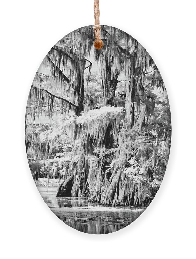 Algae Ornament featuring the photograph Cypress Infrared by Lana Trussell