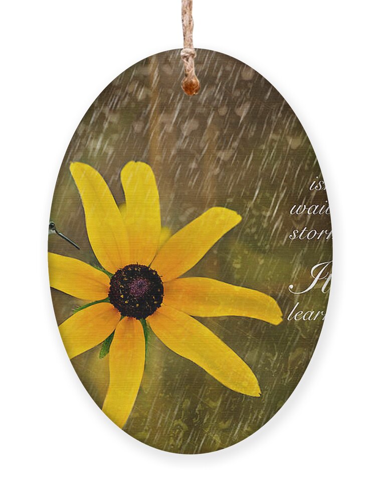 Inspirational Photography Ornament featuring the photograph Dancing In the Rain Print by Gwen Gibson