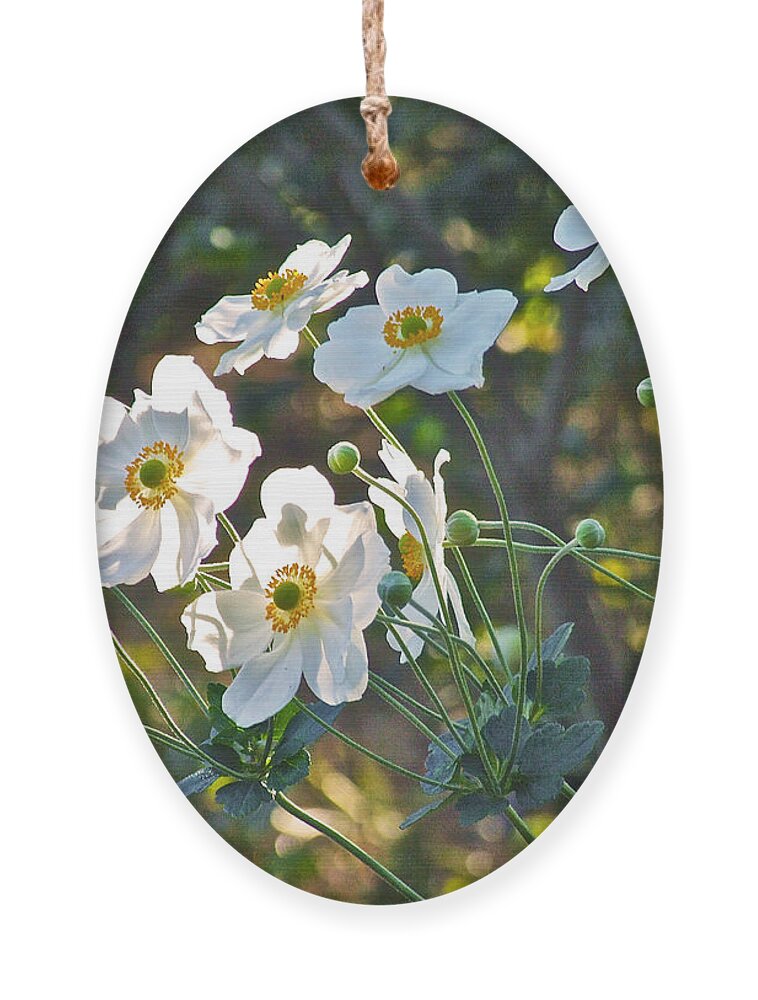 Anemones Ornament featuring the photograph Dappled Sunlight by Janis Senungetuk