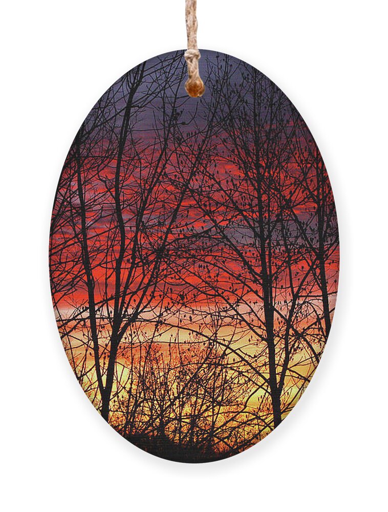 Blue Ridge Mountains Ornament featuring the photograph Daybreak by Dale R Carlson