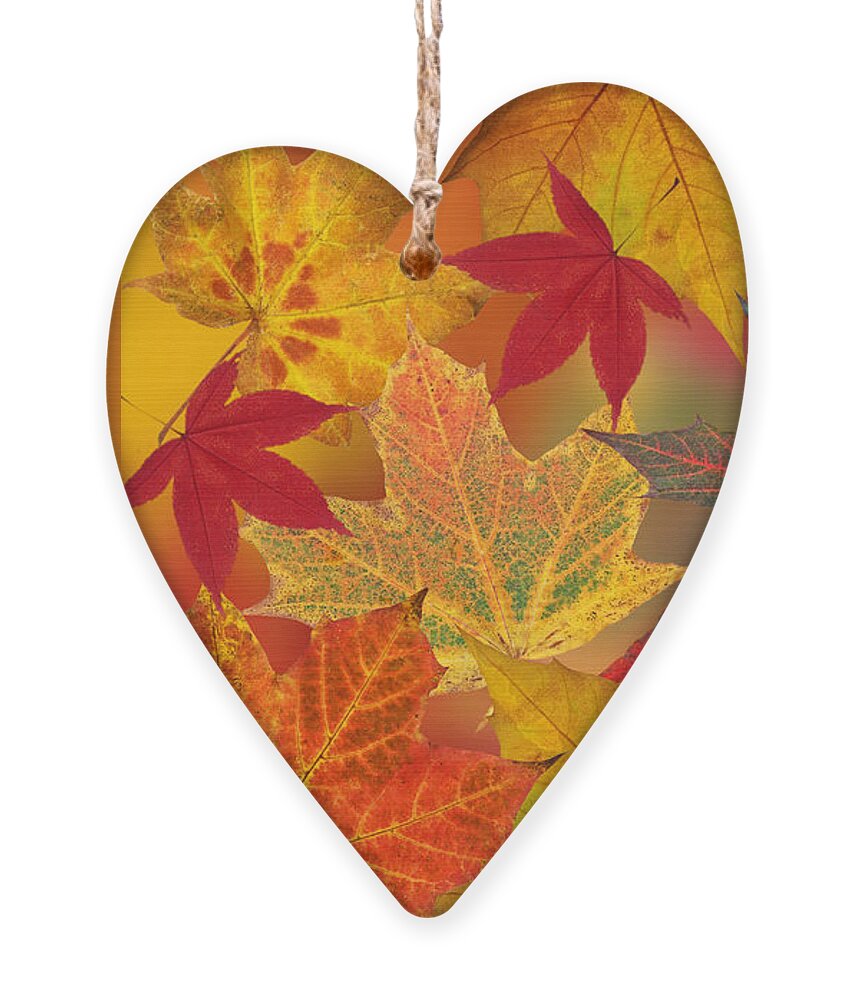 Autumn Leaves Ornament featuring the photograph Dazzling Autumn Leaves by Gill Billington