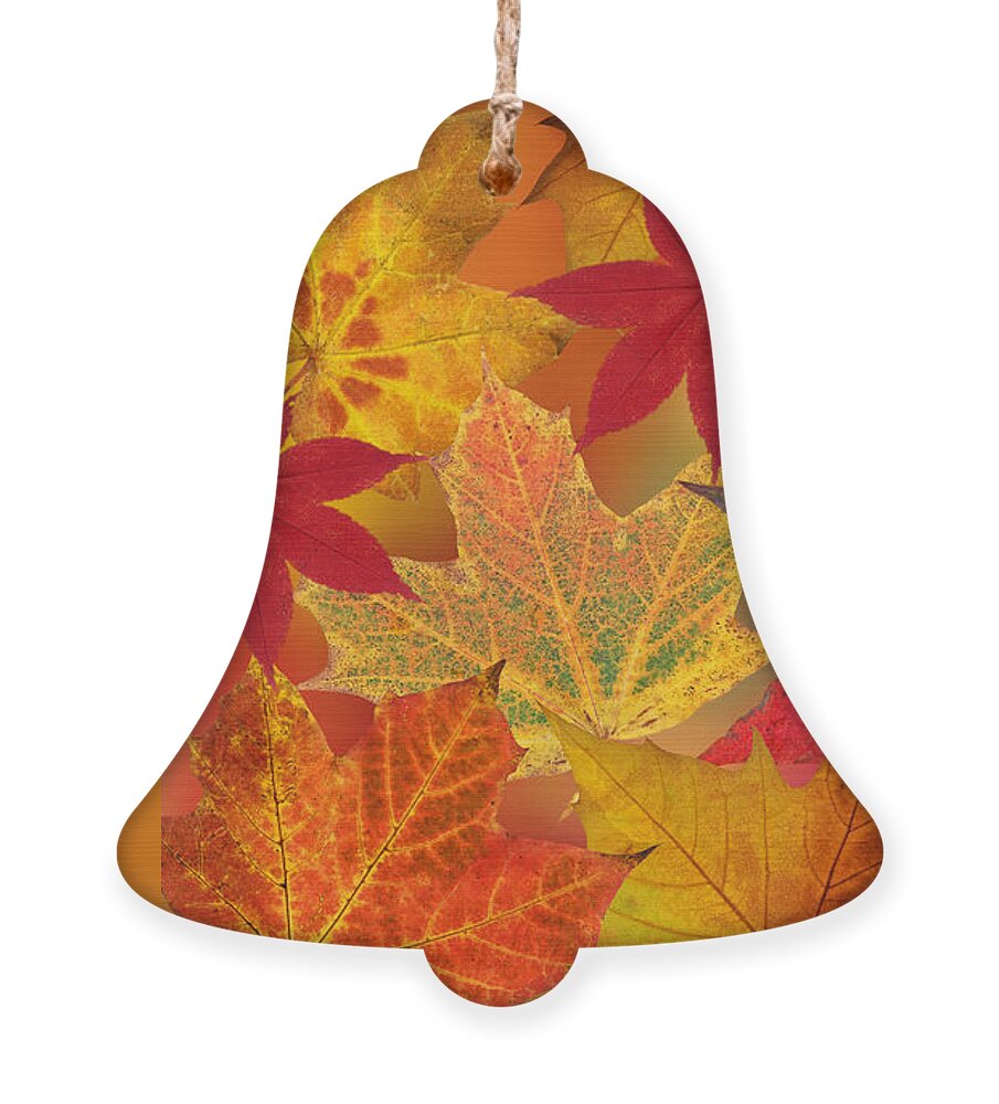 Autumn Leaves Ornament featuring the photograph Dazzling Autumn Leaves by Gill Billington