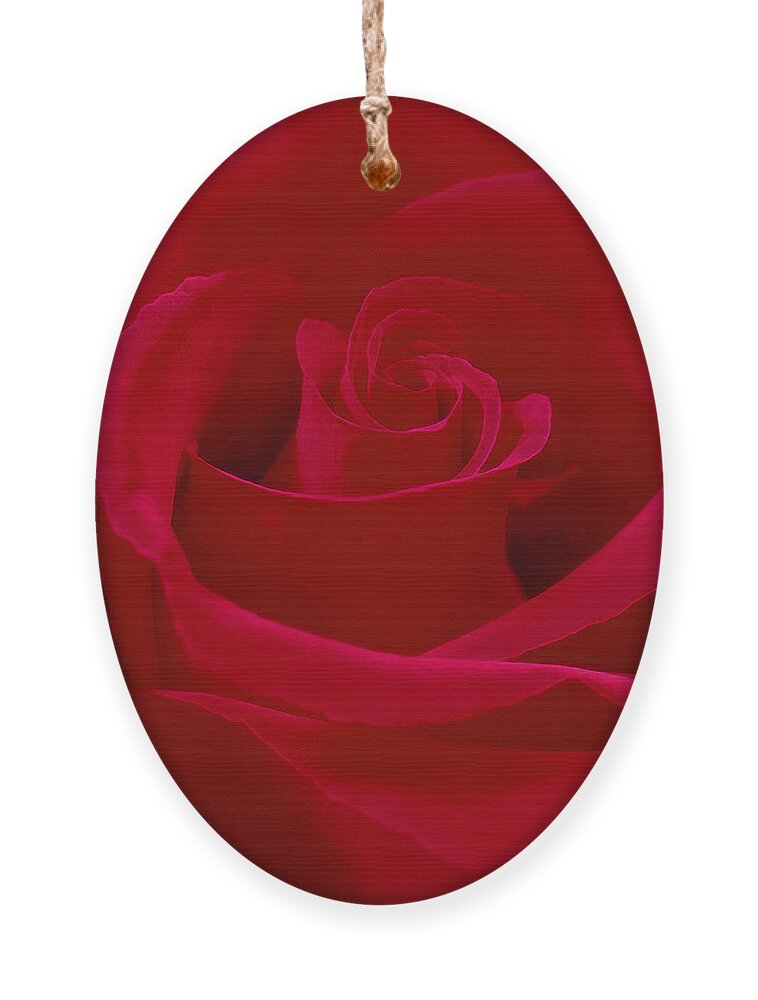 Red Rose Ornament featuring the photograph Deep Red Rose by Mike McGlothlen