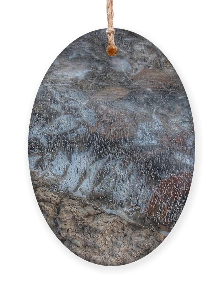 New Jersey Ornament featuring the photograph Delaware River Ice With Leaves by Christopher Lotito