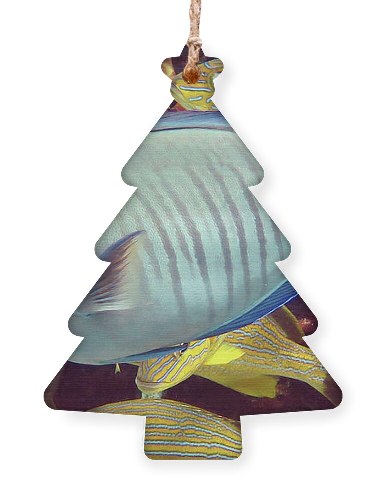 Underwater Ornament featuring the photograph Doctorfish by Daryl Duda