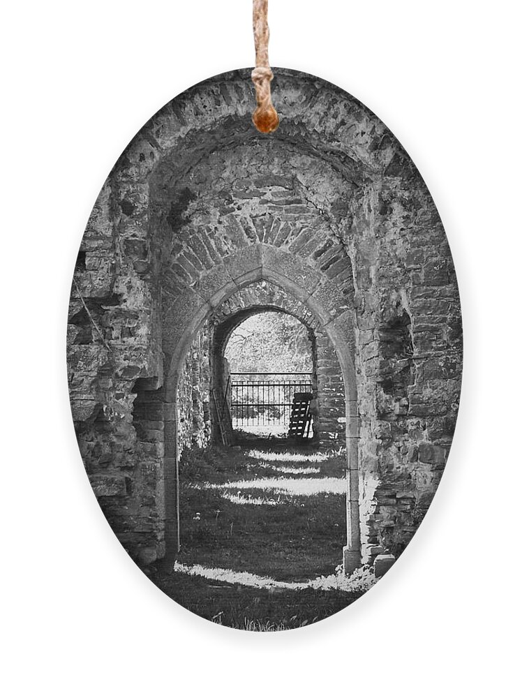 Irish Ornament featuring the photograph Doors at Ballybeg Priory in Buttevant Ireland by Teresa Mucha
