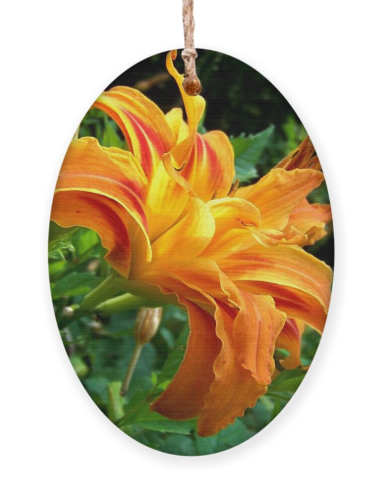 Flower Ornament featuring the photograph Double Blossom Orange Lily by Jai Johnson