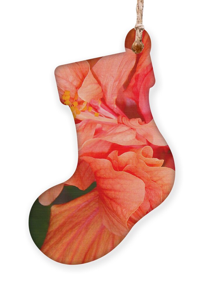Hibiscus Ornament featuring the photograph Double Hibiscus by Judy Hall-Folde