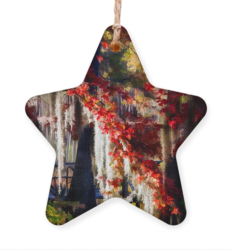 Autumn Ornament featuring the digital art Draped With Color by Lana Trussell
