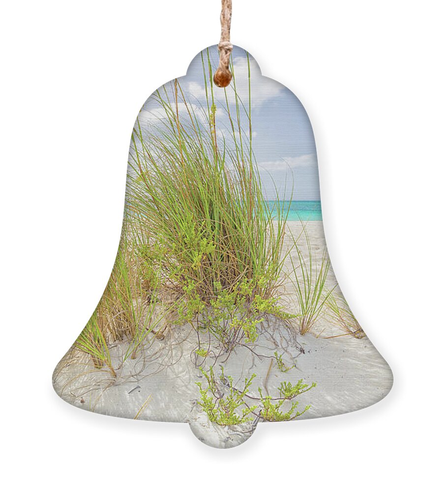 Ocean Ornament featuring the photograph Dreams in the Dunes by Becqi Sherman