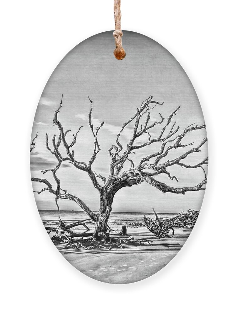 Driftwood Beach Ornament featuring the photograph Driftwood Beach - Black and White by Kerri Farley
