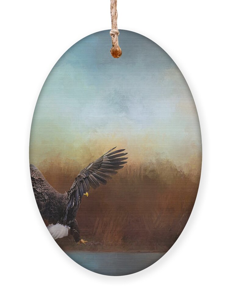 Jai Johnson Ornament featuring the photograph Eagle Hunting In The Marsh by Jai Johnson
