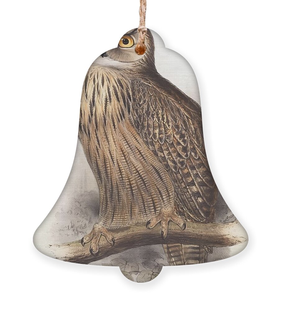 Edward Lear Ornament featuring the painting Eagle Owl by Edward Lear