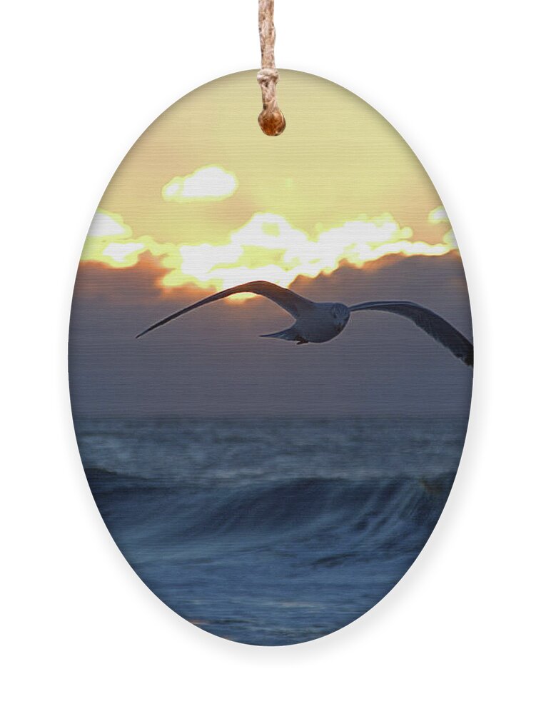 Seas Ornament featuring the photograph Early Bird by Newwwman