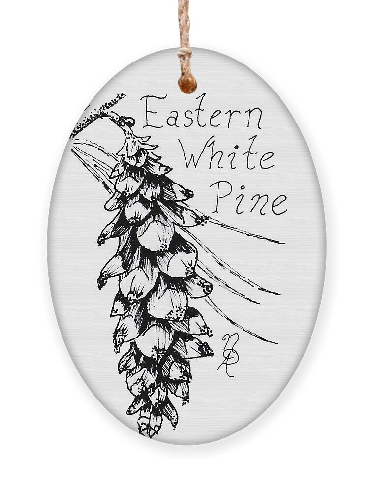 Pine Ornament featuring the drawing Eastern White Pine cone on a branch by Nicole Angell