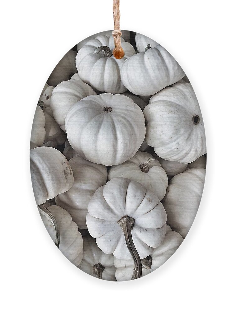 Pumpkins Ornament featuring the photograph Elegant Pumpkins by Onedayoneimage Photography