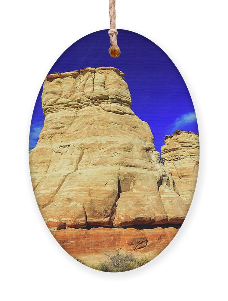 Arizona Ornament featuring the photograph Elephat Feet Sandstone by Raul Rodriguez