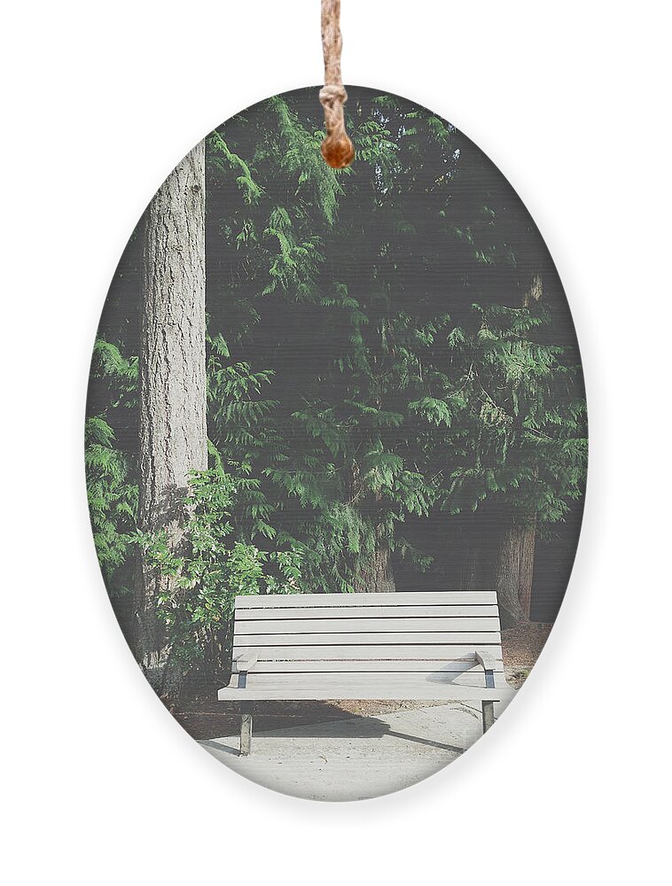 Park Bench Ornament featuring the photograph Empty Park Bench by Bryan Mullennix