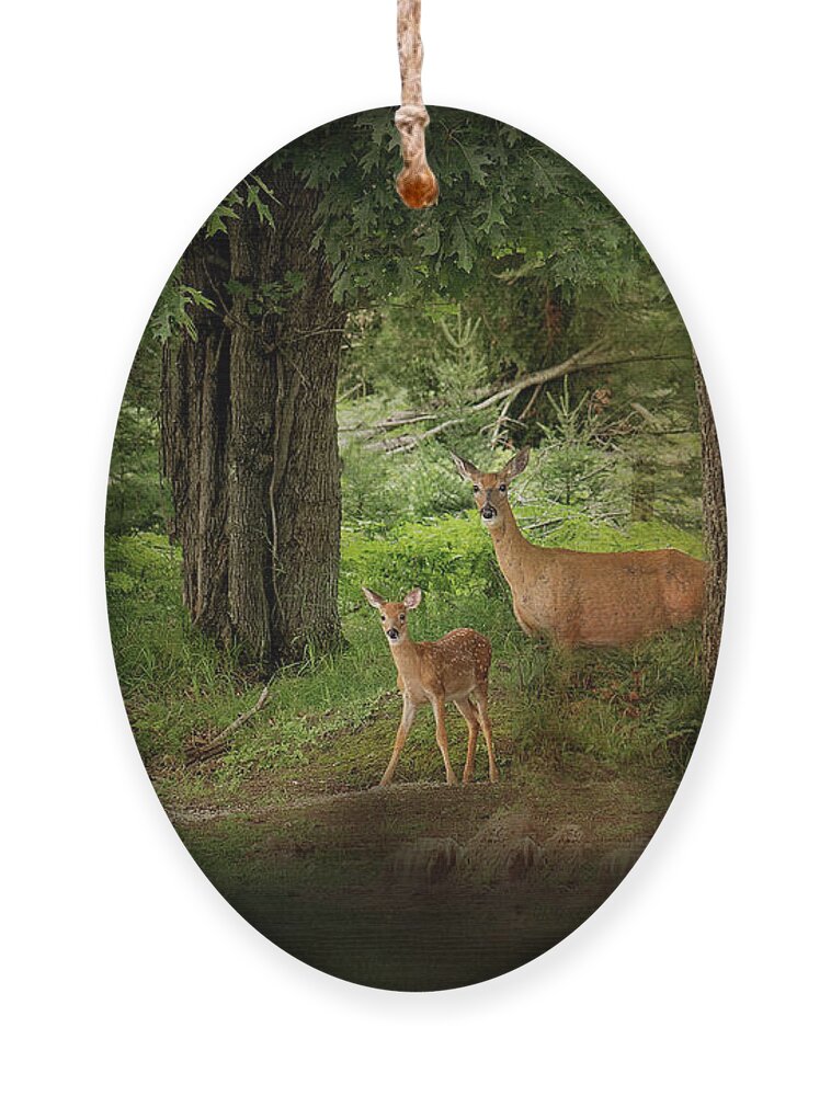 Deer Print Ornament featuring the photograph Enchanted Forest Deer Print by Gwen Gibson
