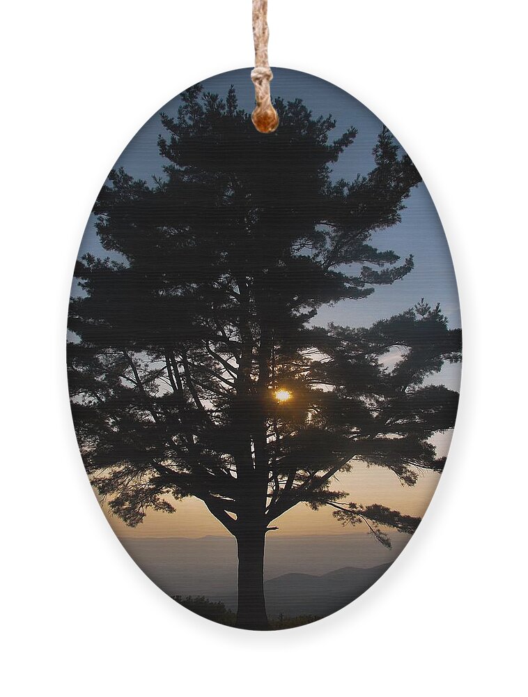Sun Ornament featuring the photograph Evening Sun by Carl Moore