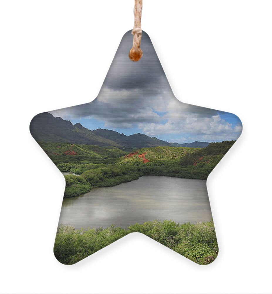 Menehune Fish Pond Ornament featuring the photograph Everything by Laurie Search