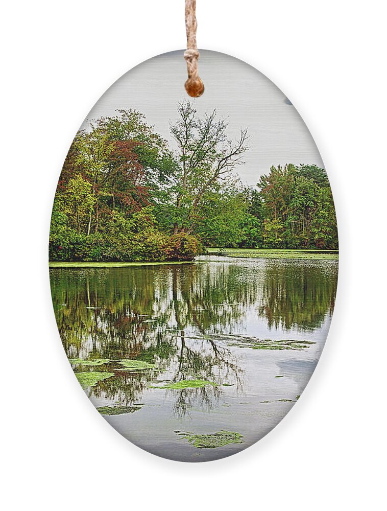 2d Ornament featuring the photograph Fall Begins At Unicorn Lake by Brian Wallace